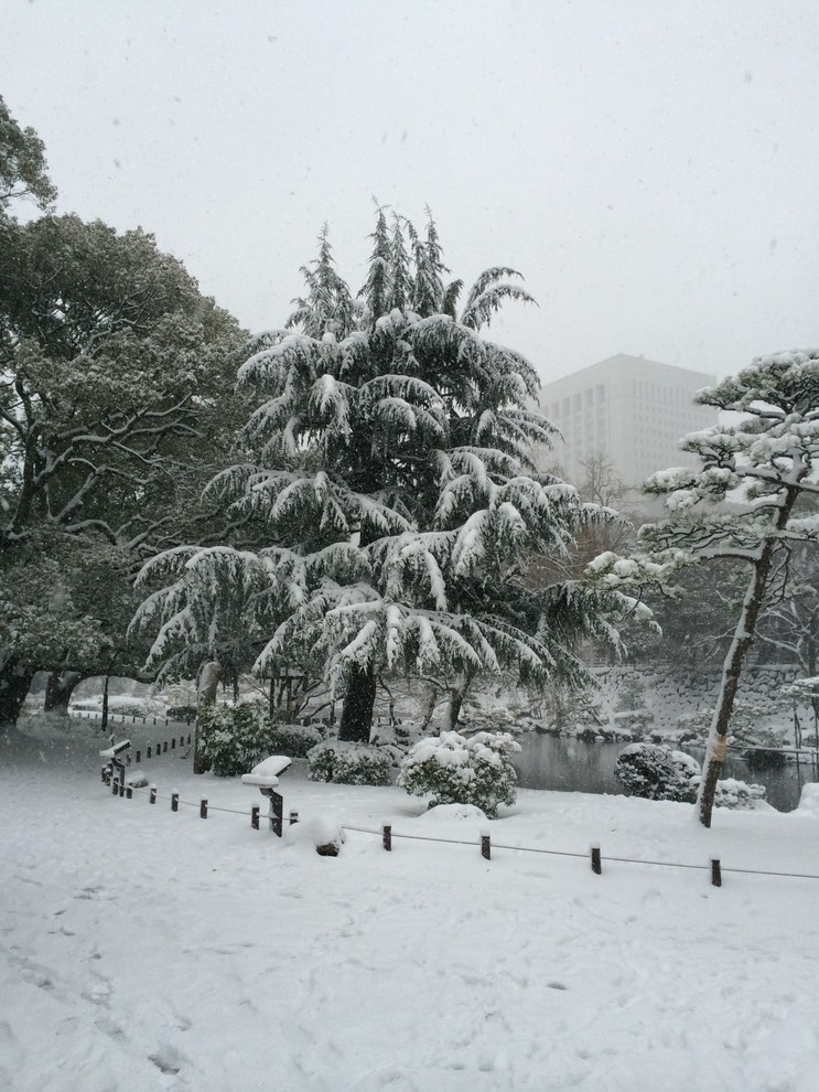 Photo 08-02-2014 15 54 10