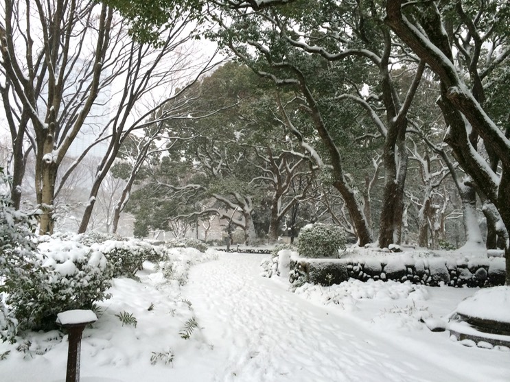 Photo 08-02-2014 16 01 41