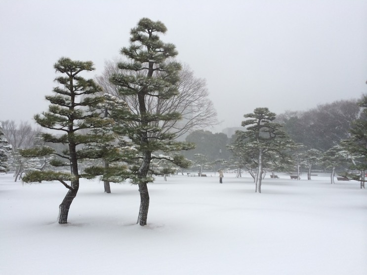 Photo 08-02-2014 16 20 28