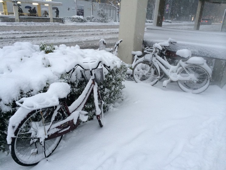 Photo 08-02-2014 16 42 40