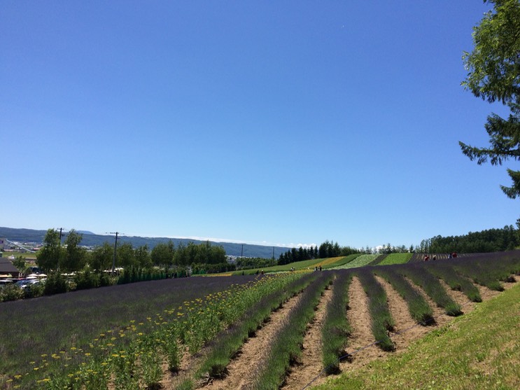 Photo 08-07-2015 10 35 57