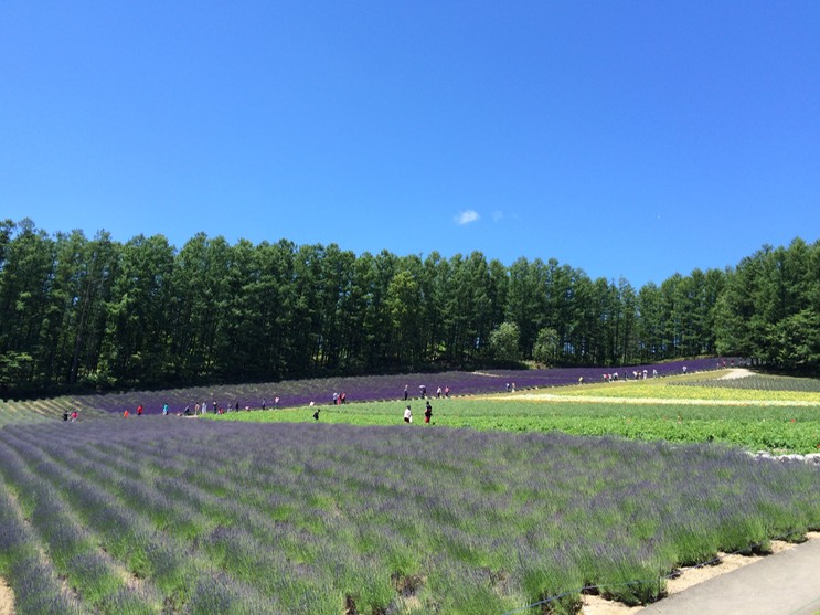 Photo 08-07-2015 10 37 11