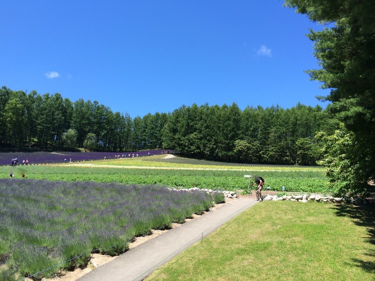 Photo 08-07-2015 10 37 13