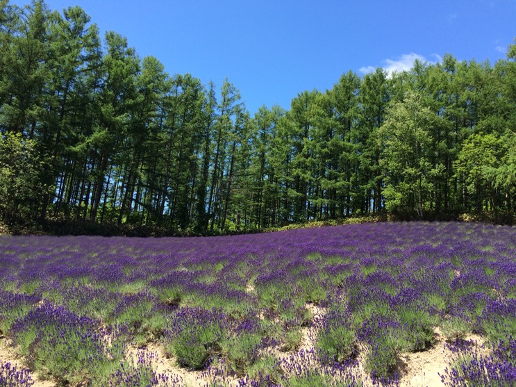 Photo 08-07-2015 10 43 55