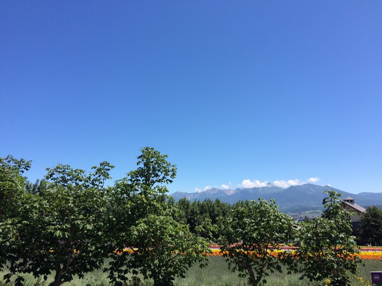 Photo 08-07-2015 11 04 52