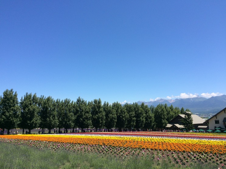 Photo 08-07-2015 11 05 12