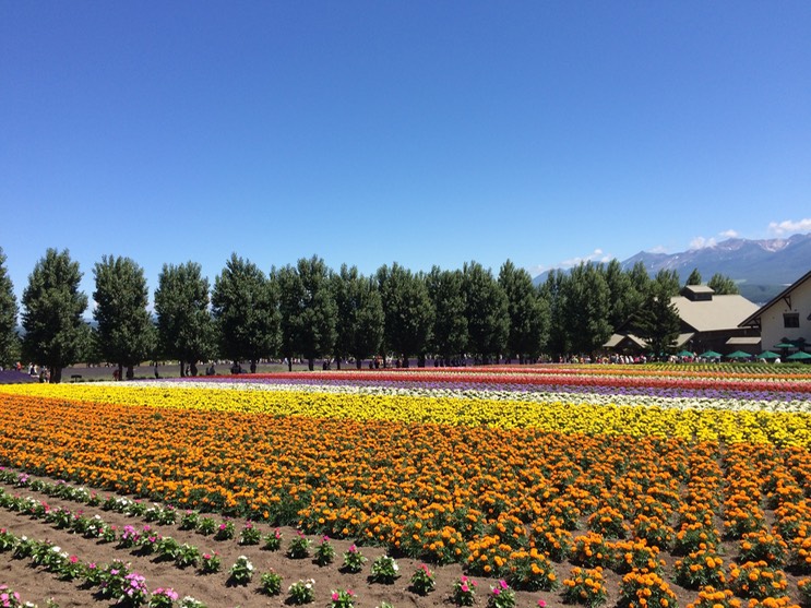 Photo 08-07-2015 11 06 28