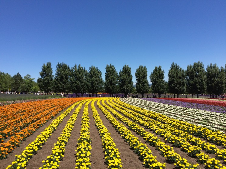 Photo 08-07-2015 11 07 02