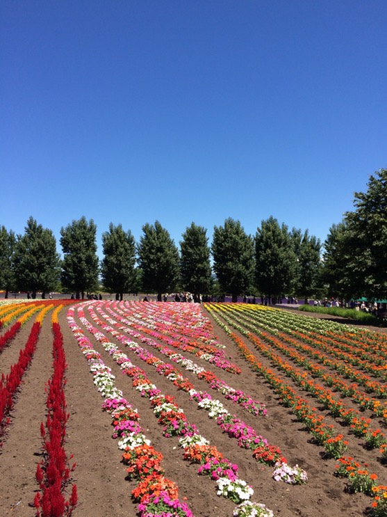 Photo 08-07-2015 11 08 20