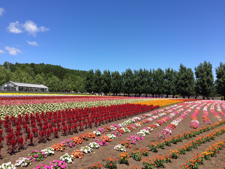 Photo 08-07-2015 11 08 43