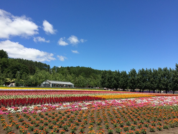 Photo 08-07-2015 11 08 59