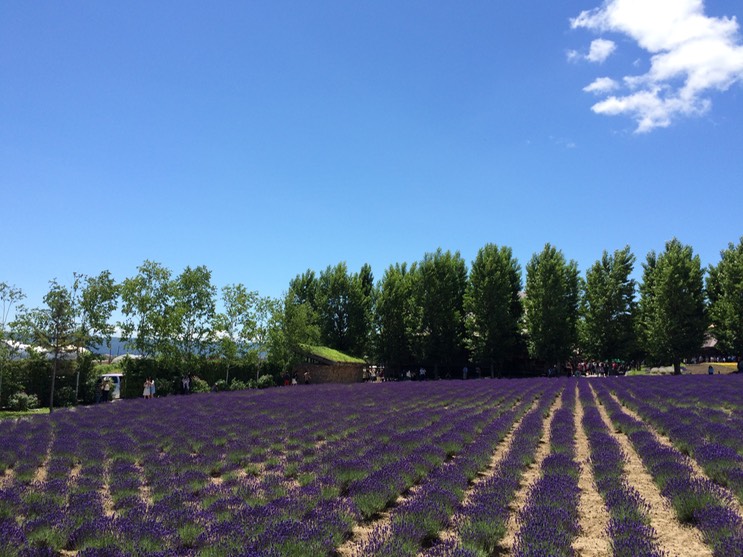 Photo 08-07-2015 11 13 32