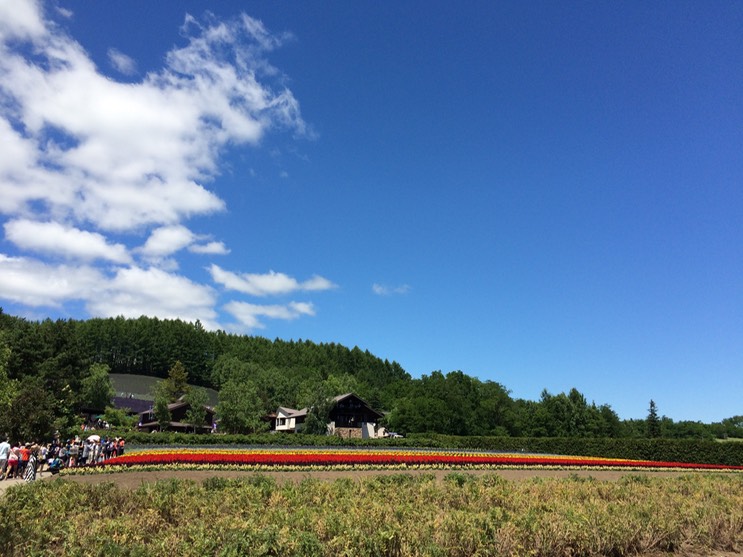 Photo 08-07-2015 11 14 35