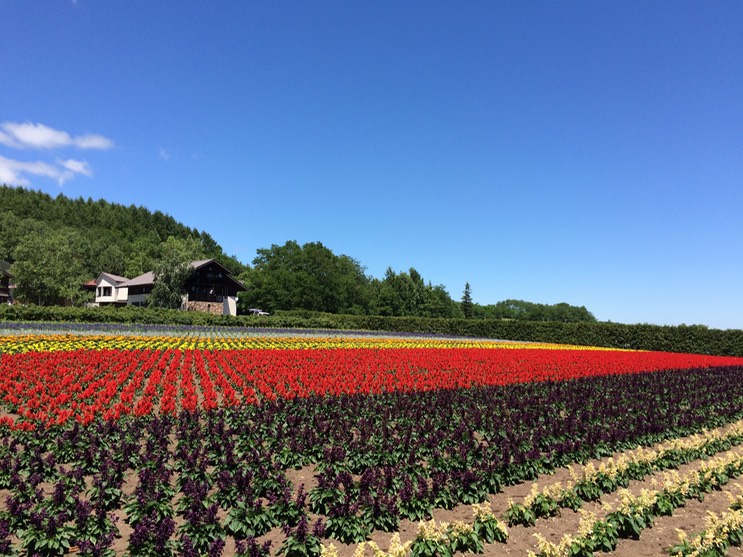 Photo 08-07-2015 11 15 02