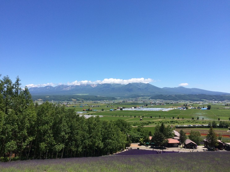 Photo 08-07-2015 11 24 42 (1)