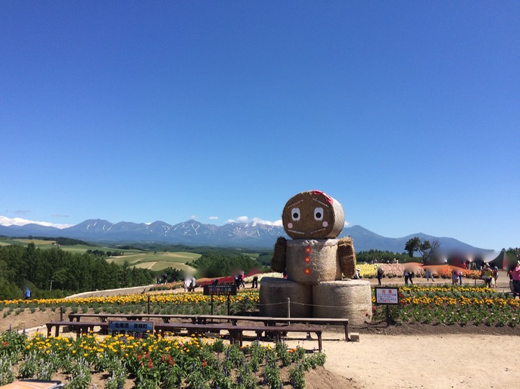 Photo 08-07-2015 13 00 49