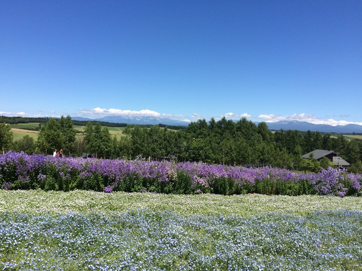 Photo 08-07-2015 13 01 21