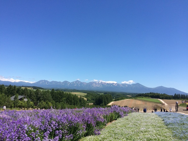 Photo 08-07-2015 13 01 39