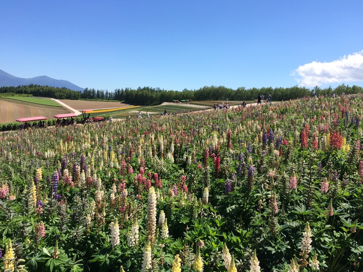 Photo 08-07-2015 13 04 31