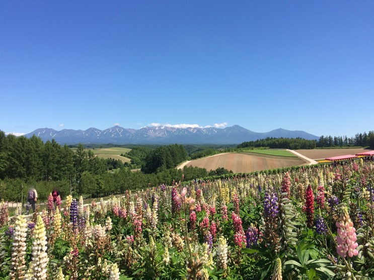 Photo 08-07-2015 13 04 38