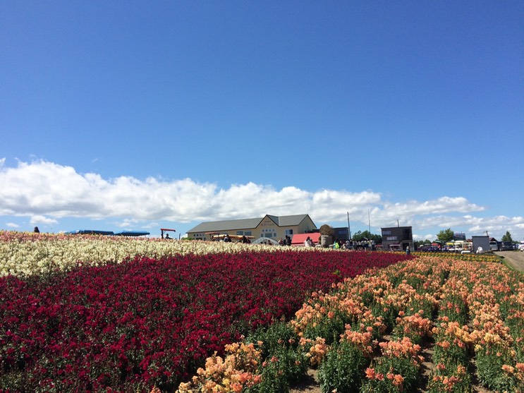 Photo 08-07-2015 13 05 33