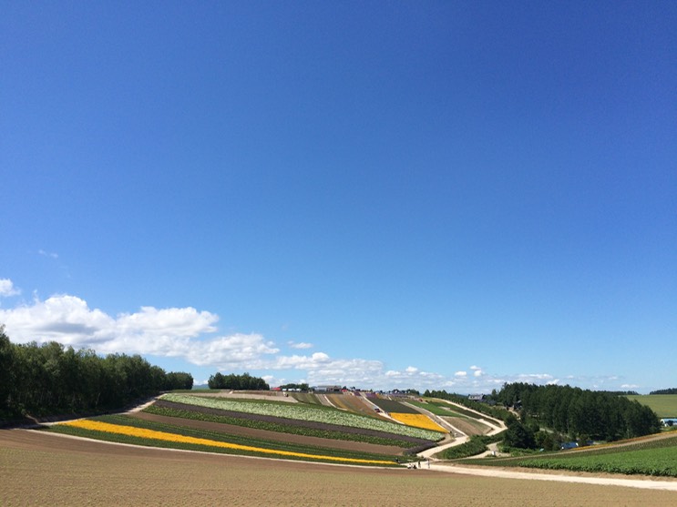 Photo 08-07-2015 13 23 03