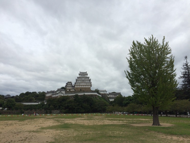 Photo 08-09-2015, 11 09 29