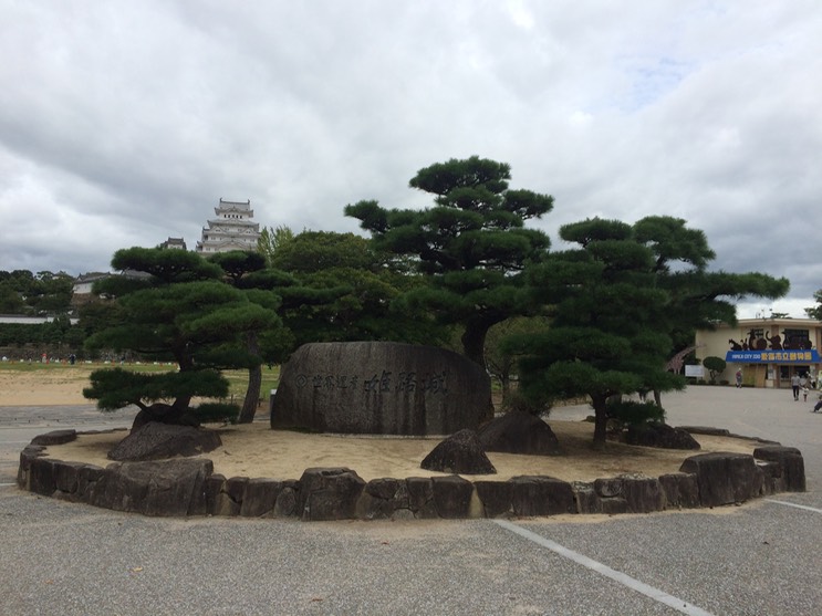 Photo 08-09-2015 11 14 34