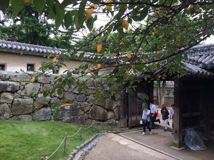 Photo 08-09-2015 11 25 58