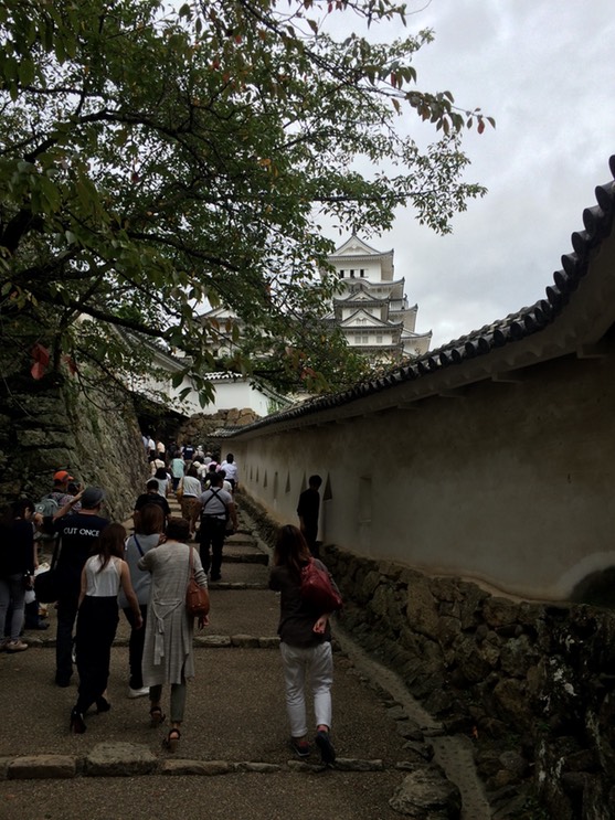 Photo 08-09-2015 11 26 38