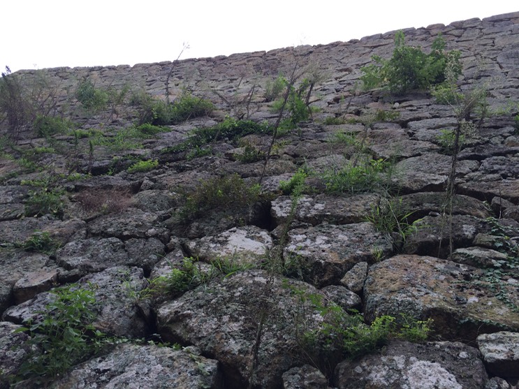 Photo 08-09-2015 12 16 35