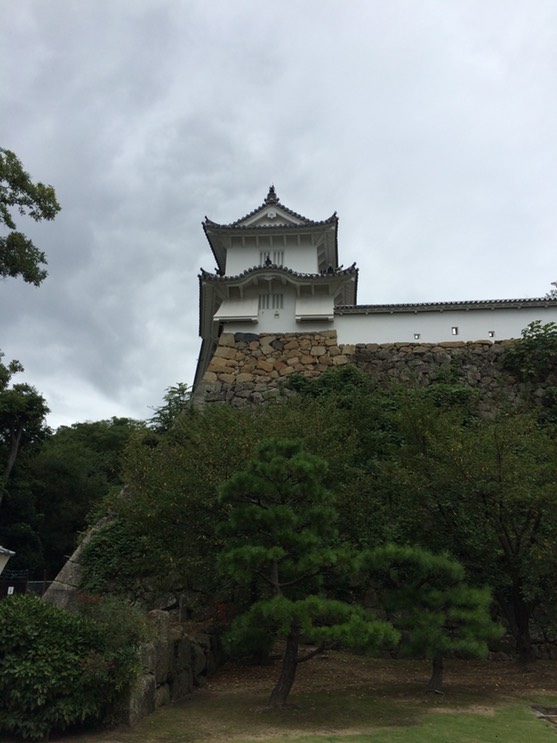 Photo 08-09-2015 13 10 14