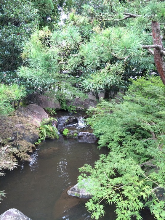 Photo 08-09-2015 13 37 54