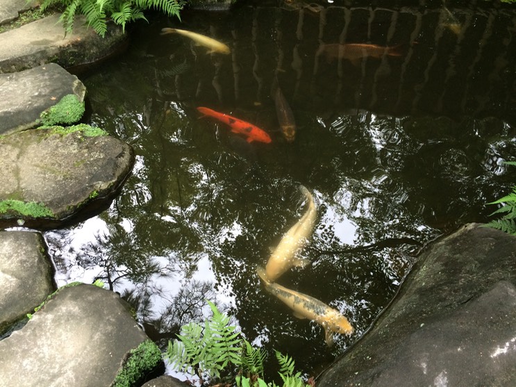 Photo 08-09-2015 13 39 18