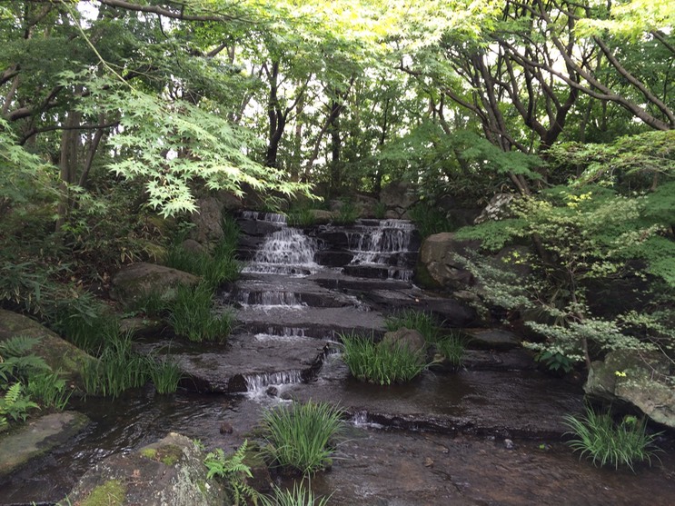 Photo 08-09-2015 13 52 29