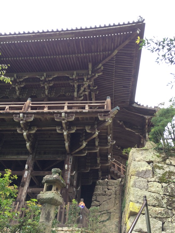 Photo 08-09-2015 15 41 42