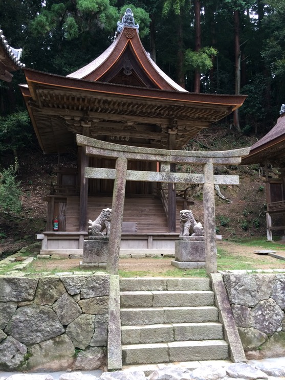 Photo 08-09-2015 16 00 16