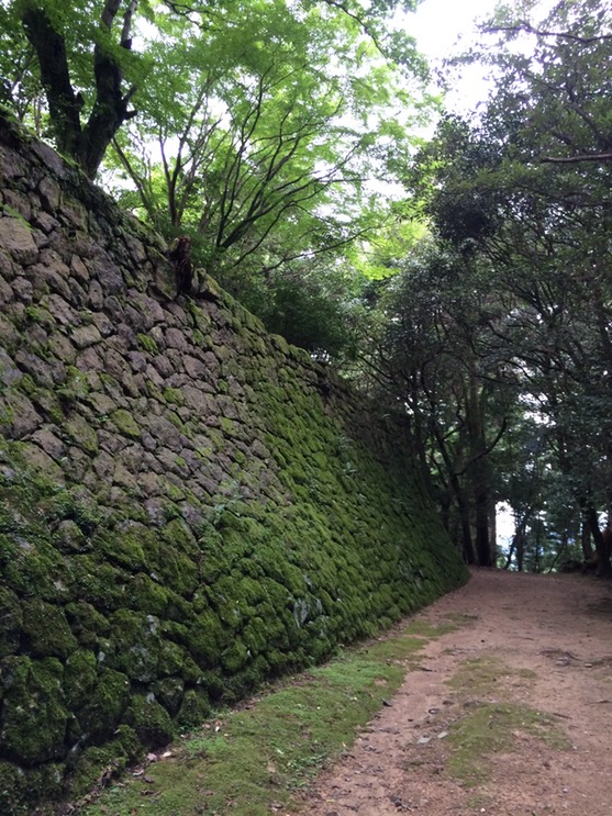 Photo 08-09-2015 16 02 16