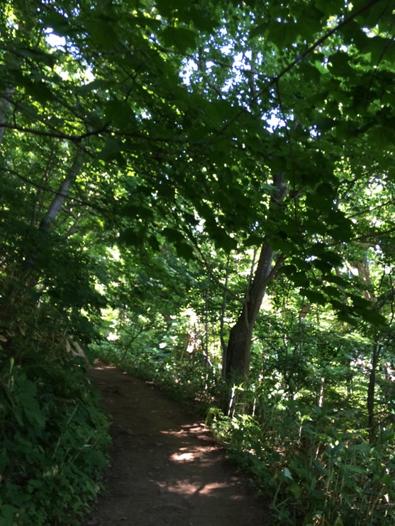 Photo 09-07-2015 10 40 52