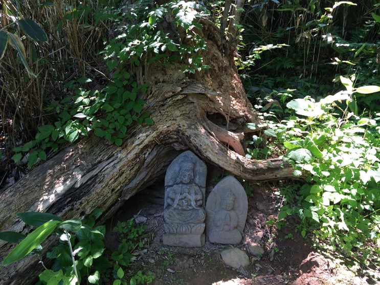 Photo 09-07-2015 10 47 47