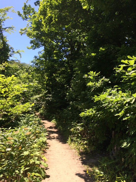 Photo 09-07-2015 10 52 21