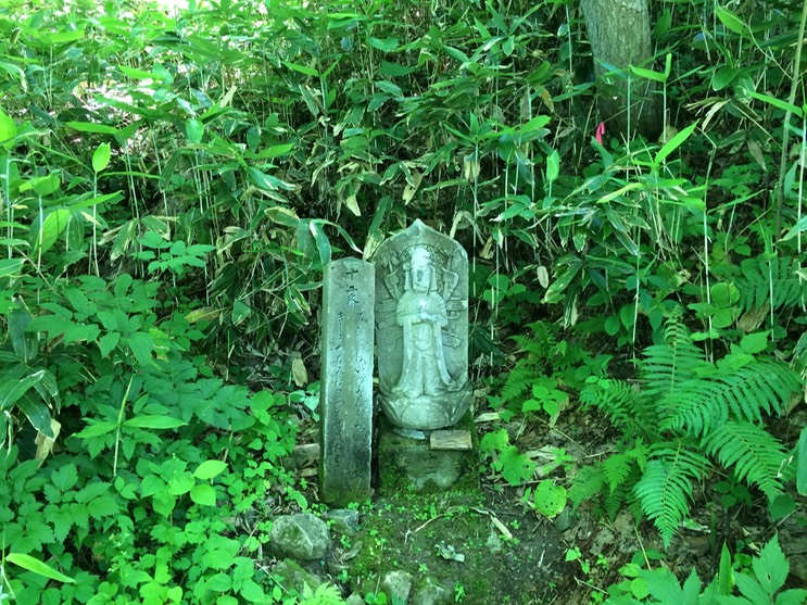 Photo 09-07-2015 10 54 46