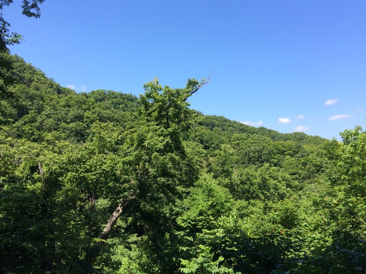 Photo 09-07-2015 10 55 11