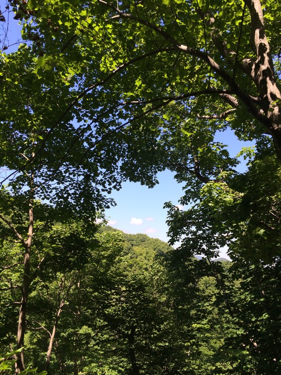 Photo 09-07-2015 10 55 36