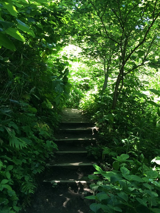 Photo 09-07-2015 11 04 31