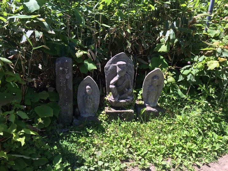 Photo 09-07-2015 11 06 30