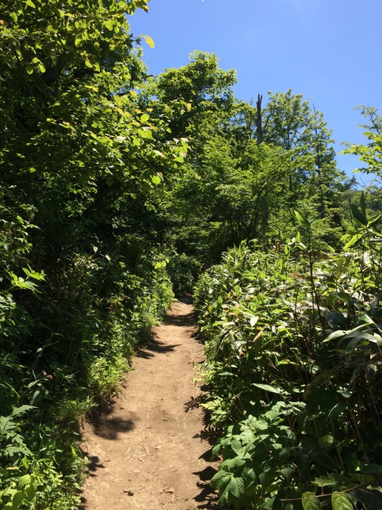 Photo 09-07-2015 11 07 58