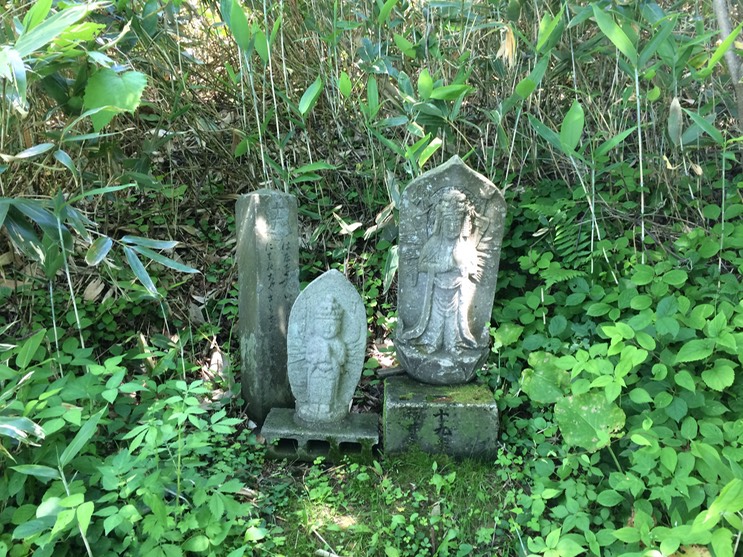 Photo 09-07-2015 11 10 02