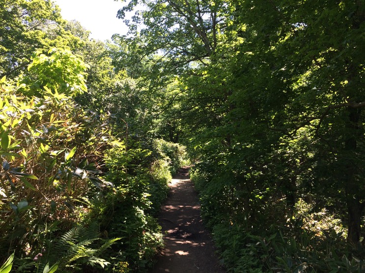 Photo 09-07-2015 11 14 43