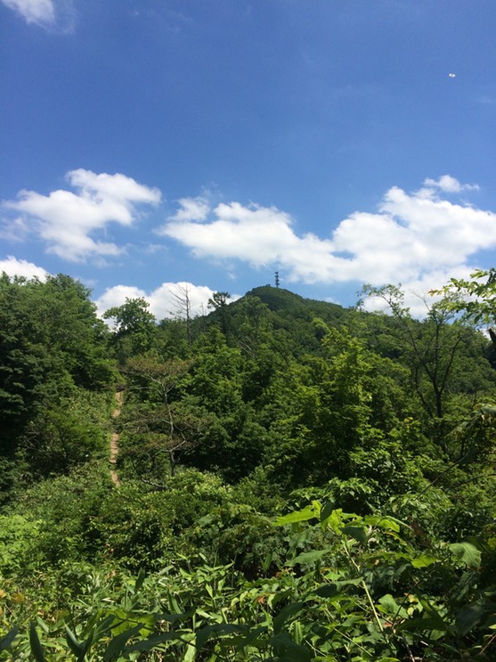 Photo 09-07-2015 12 52 52